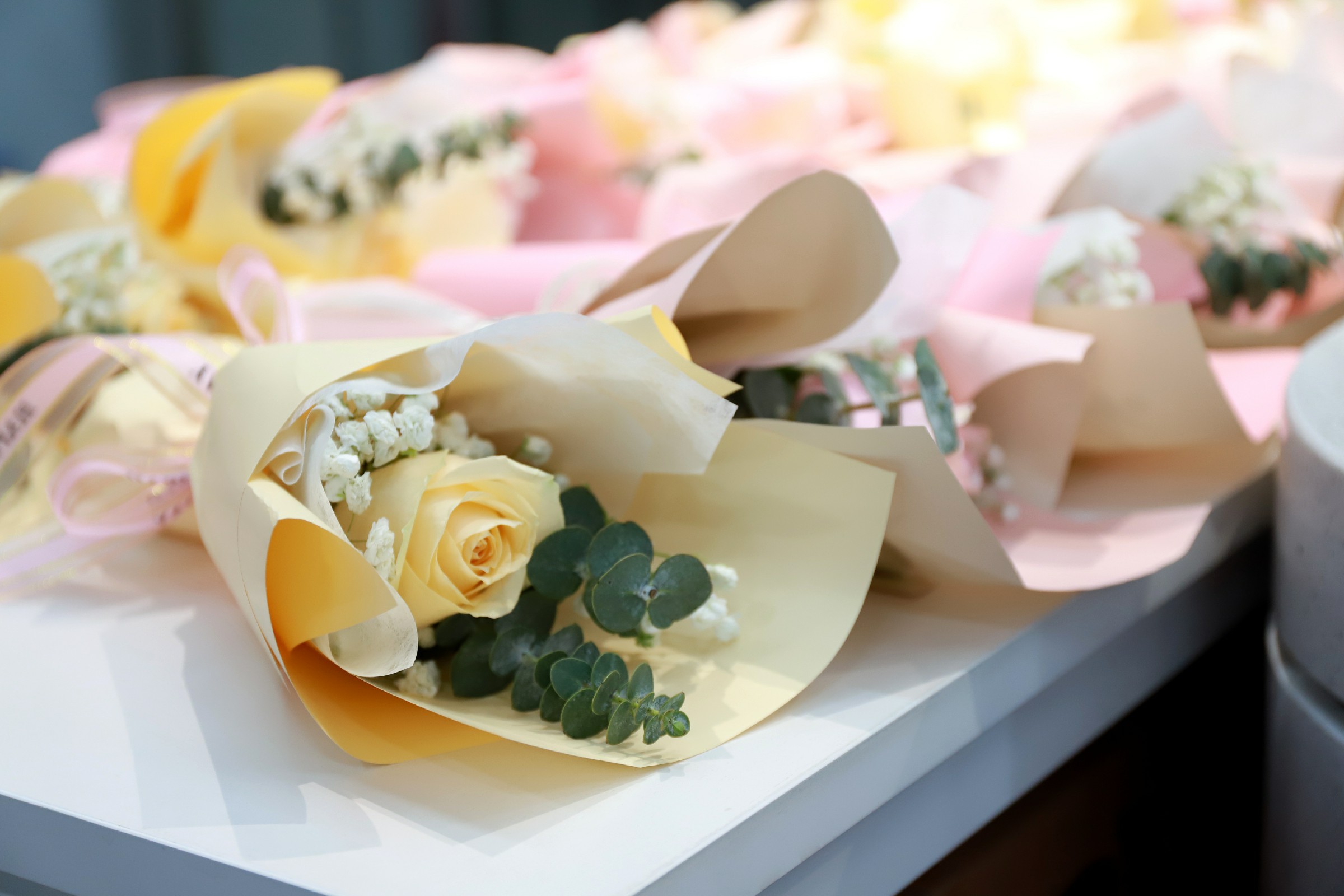 IMG_2631.jpg IMG_2631.jpg